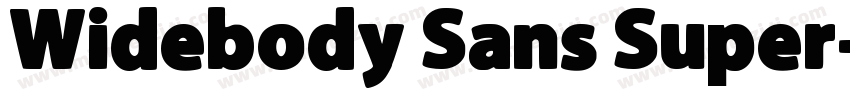 Widebody Sans Super字体转换